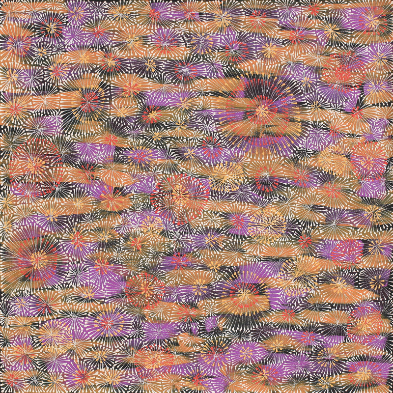 Aboriginal Artwork by Sylvaria Napurrurla Walker, Jitilypuru Jukurrpa, 76x76cm