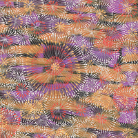 Aboriginal Artwork by Sylvaria Napurrurla Walker, Jitilypuru Jukurrpa, 76x76cm