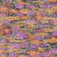 Aboriginal Artwork by Sylvaria Napurrurla Walker, Jitilypuru Jukurrpa, 76x76cm