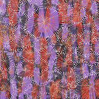 Aboriginal Artwork by Sylvaria Napurrurla Walker, Jitilypuru Jukurrpa, 91x61cm