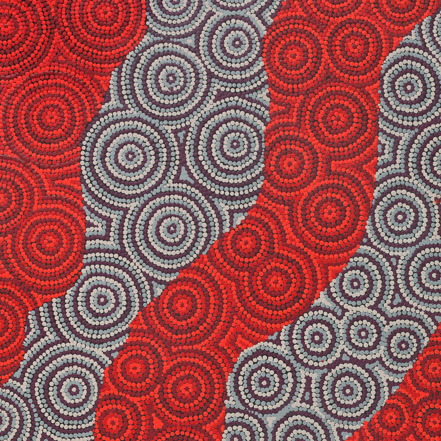 Aboriginal Artwork by Tiffany Nakamarra Ross, Yarla Jukurrpa (Bush Potato Dreaming) - Cockatoo Creek, 107x61cm