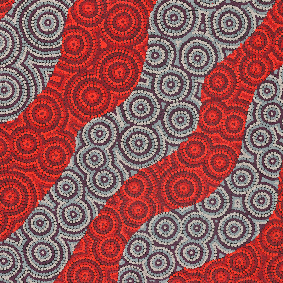Aboriginal Artwork by Tiffany Nakamarra Ross, Yarla Jukurrpa (Bush Potato Dreaming) - Cockatoo Creek, 107x61cm