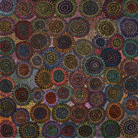 Aboriginal Artwork by Tina Napangardi Martin, Jinti-parnta Jukurrpa, 107x107cm