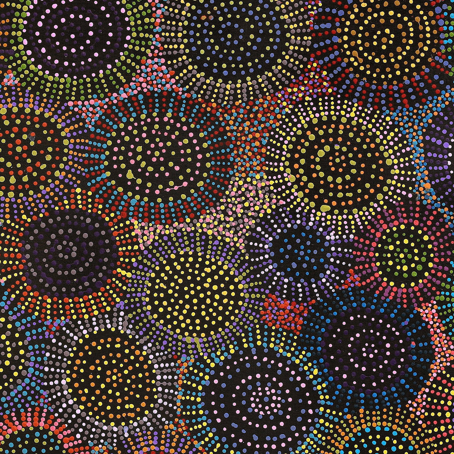 Aboriginal Artwork by Tina Napangardi Martin, Jinti-parnta Jukurrpa, 107x107cm