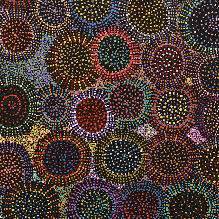 Aboriginal Artwork by Tina Napangardi Martin, Jinti-parnta Jukurrpa, 107x107cm