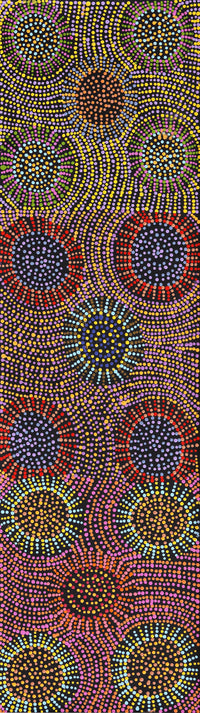 Aboriginal Artwork by Tina Napangardi Martin, Jinti-parnta Jukurrpa, 107x30cm