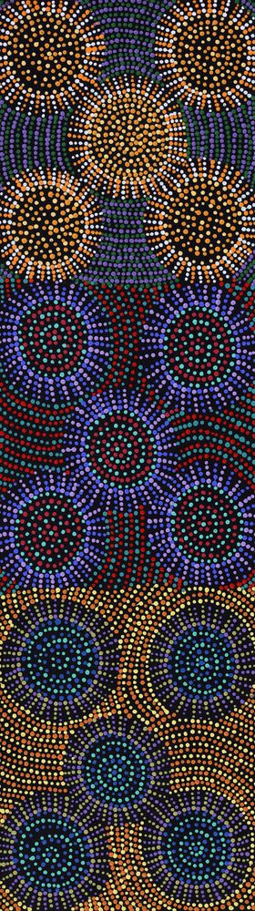 Aboriginal Artwork by Tina Napangardi Martin, Jinti-parnta Jukurrpa, 107x30cm