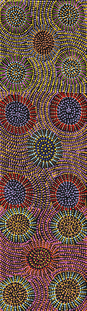 Aboriginal Artwork by Tina Napangardi Martin, Jinti-parnta Jukurrpa, 107x30cm