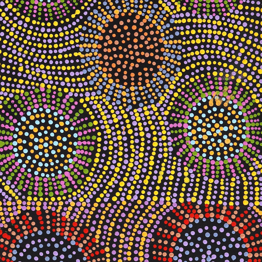 Aboriginal Artwork by Tina Napangardi Martin, Jinti-parnta Jukurrpa, 107x30cm