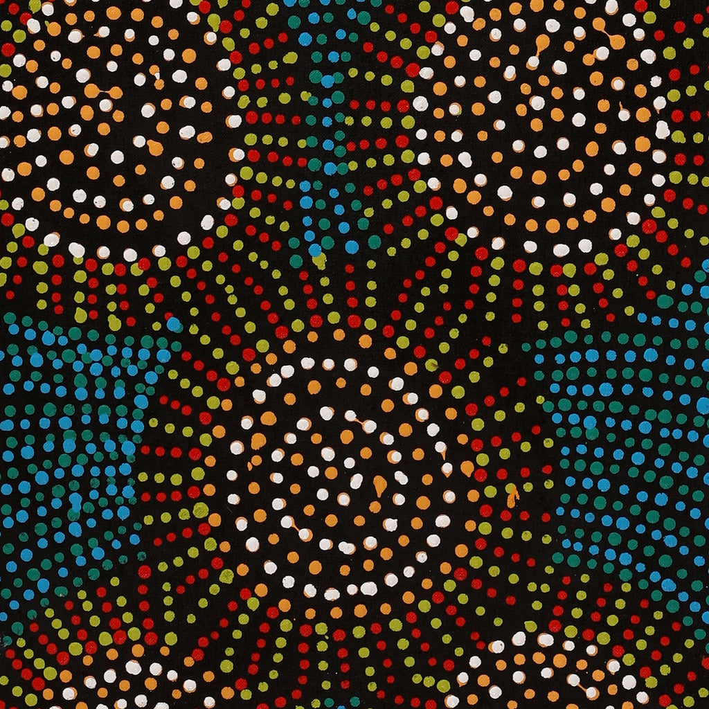 Aboriginal Artwork by Tina Napangardi Martin, Jinti-parnta Jukurrpa, 107x30cm