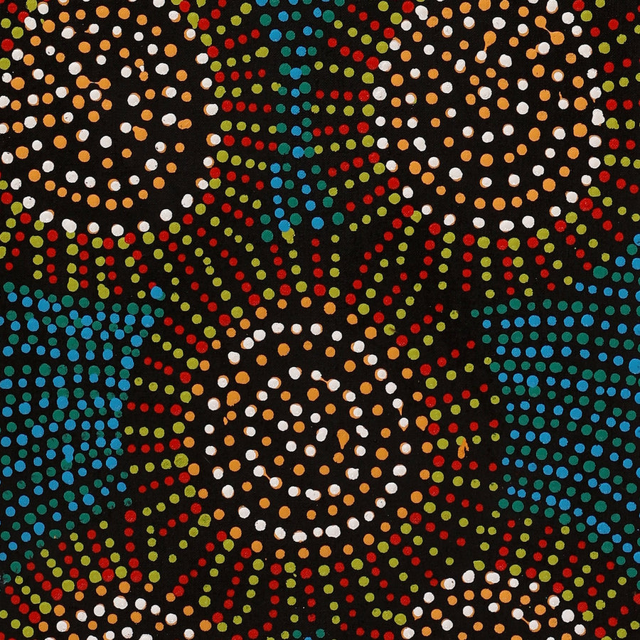 Aboriginal Artwork by Tina Napangardi Martin, Jinti-parnta Jukurrpa, 107x30cm