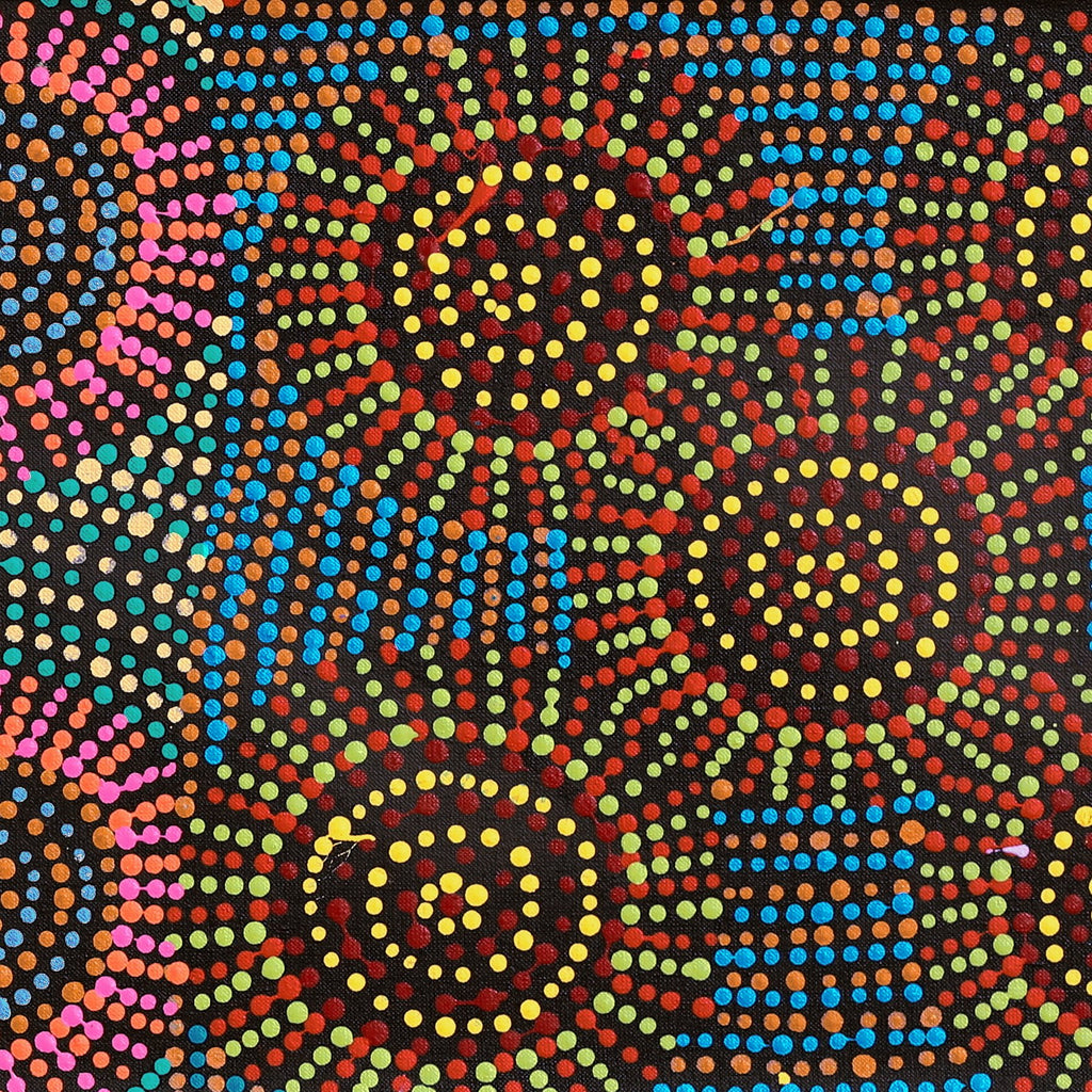 Aboriginal Artwork by Tina Napangardi Martin, Jinti-parnta Jukurrpa, 107x30cm