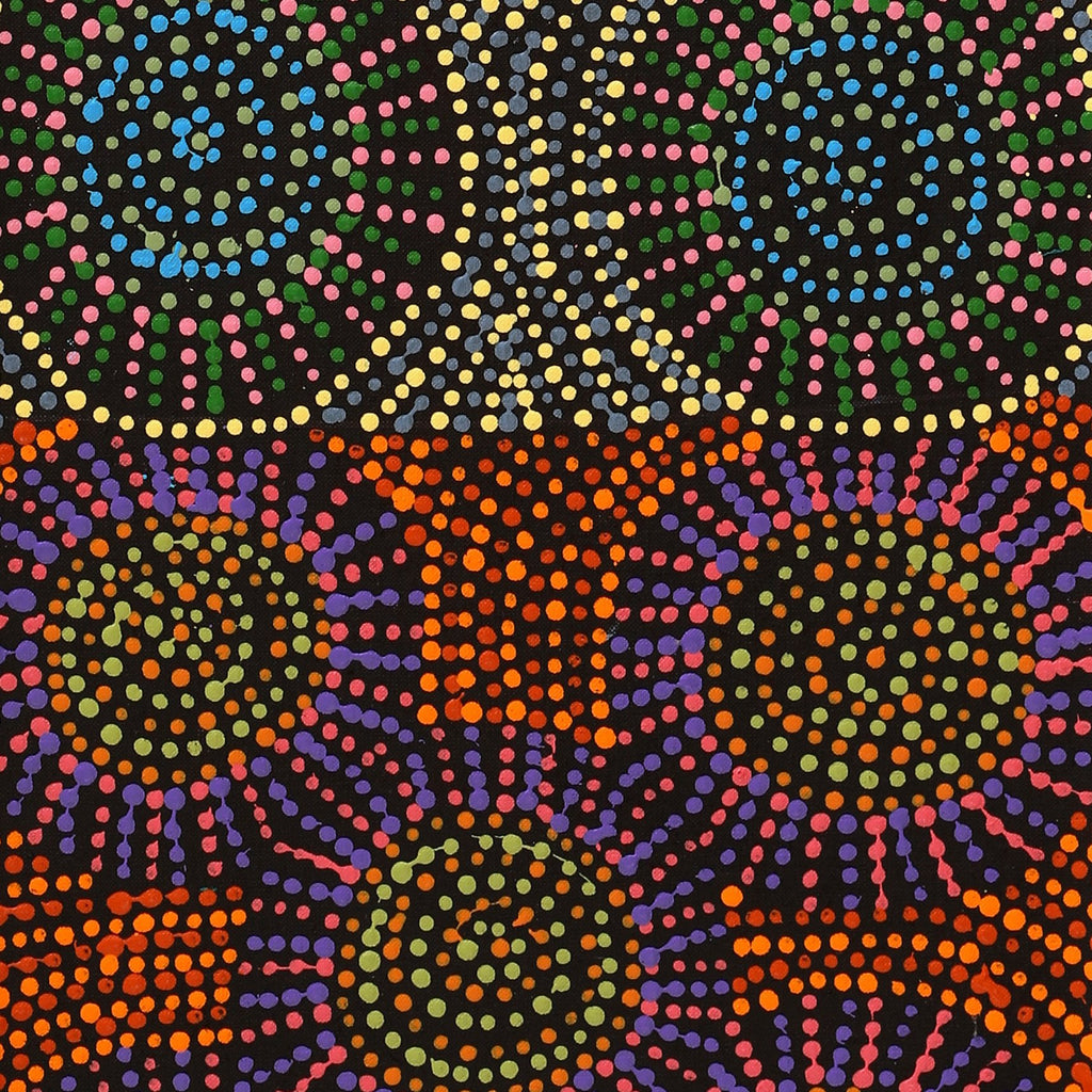 Aboriginal Artwork by Tina Napangardi Martin, Jinti-parnta Jukurrpa, 107x30cm