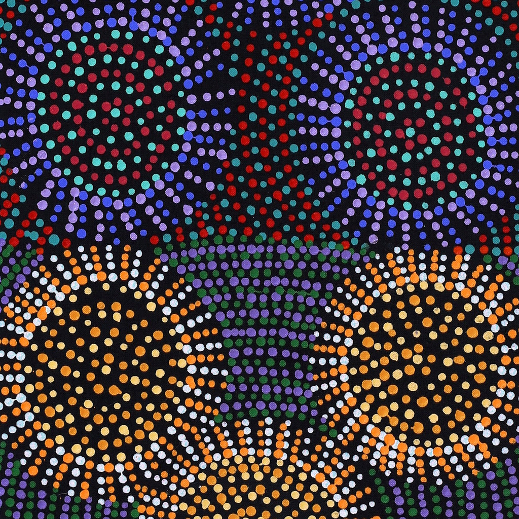 Aboriginal Artwork by Tina Napangardi Martin, Jinti-parnta Jukurrpa, 107x30cm