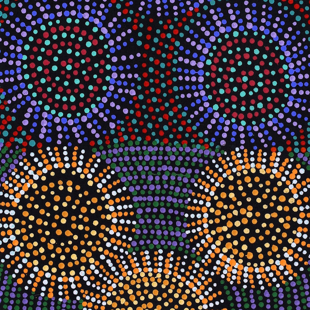 Aboriginal Art by Tina Napangardi Martin, Jinti-parnta Jukurrpa, 107x30cm - ART ARK®
