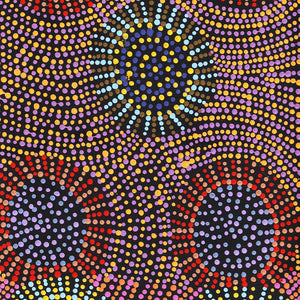 Aboriginal Artwork by Tina Napangardi Martin, Jinti-parnta Jukurrpa, 107x30cm - ART ARK®