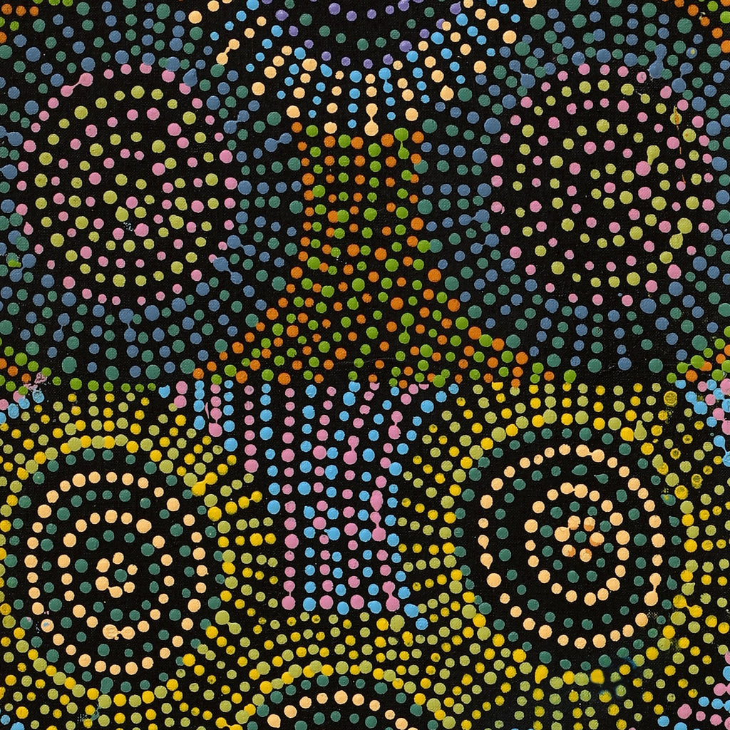 Aboriginal Artwork by Tina Napangardi Martin, Jinti-parnta Jukurrpa, 107x30cm