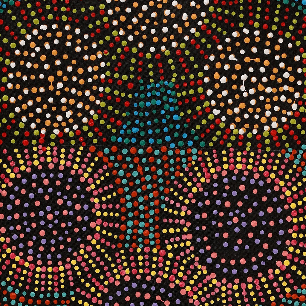 Aboriginal Artwork by Tina Napangardi Martin, Jinti-parnta Jukurrpa, 107x30cm