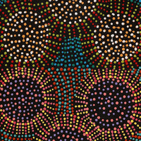 Aboriginal Artwork by Tina Napangardi Martin, Jinti-parnta Jukurrpa, 107x30cm