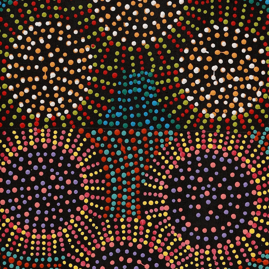 Aboriginal Artwork by Tina Napangardi Martin, Jinti-parnta Jukurrpa, 107x30cm