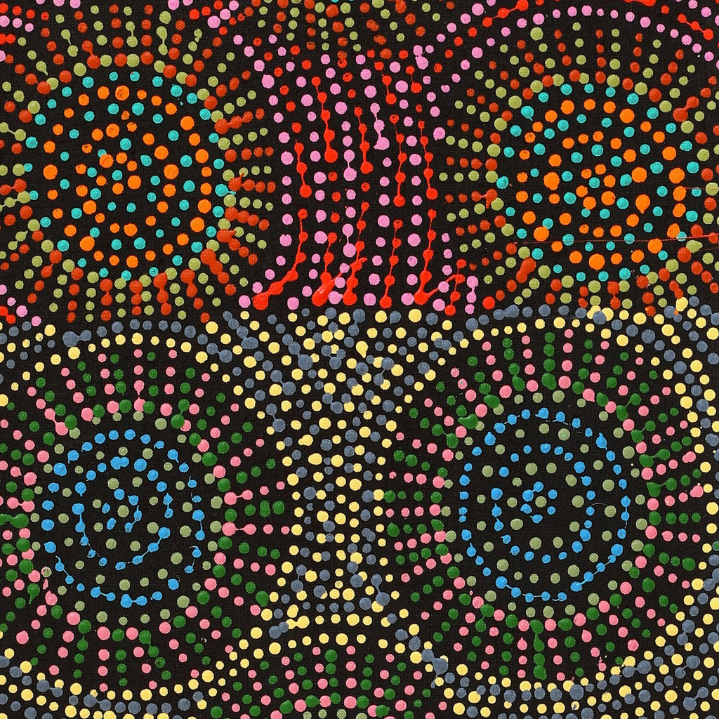 Aboriginal Artwork by Tina Napangardi Martin, Jinti-parnta Jukurrpa, 107x30cm