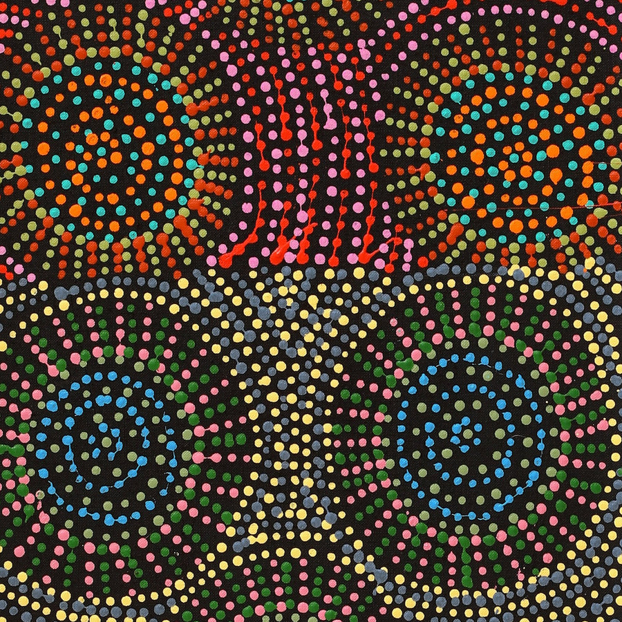Aboriginal Artwork by Tina Napangardi Martin, Jinti-parnta Jukurrpa, 107x30cm