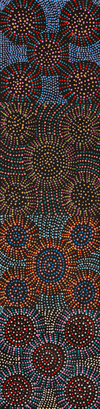 Aboriginal Artwork by Tina Napangardi Martin, Jinti-parnta Jukurrpa, 122x30cm