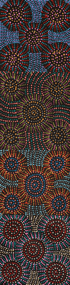 Aboriginal Artwork by Tina Napangardi Martin, Jinti-parnta Jukurrpa, 122x30cm