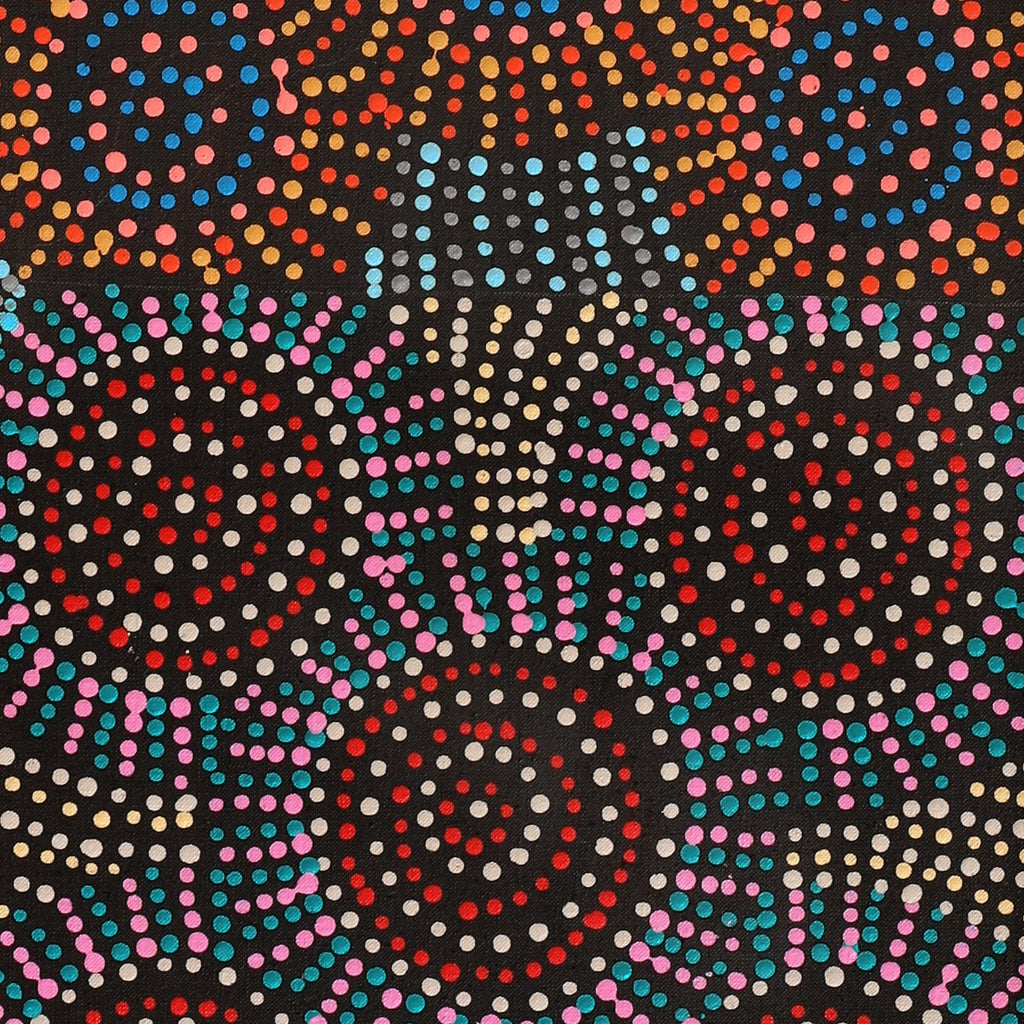 Aboriginal Artwork by Tina Napangardi Martin, Jinti-parnta Jukurrpa, 122x30cm