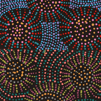 Aboriginal Artwork by Tina Napangardi Martin, Jinti-parnta Jukurrpa, 122x30cm