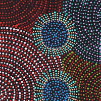 Aboriginal Artwork by Tina Napangardi Martin, Jinti-parnta Jukurrpa, 152x30cm
