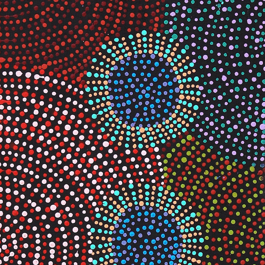 Aboriginal Artwork by Tina Napangardi Martin, Jinti-parnta Jukurrpa, 152x30cm