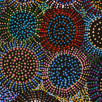 Aboriginal Artwork by Tina Napangardi Martin, Jinti-parnta Jukurrpa, 152x91cm