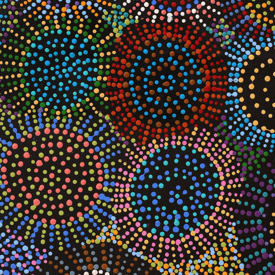 Aboriginal Artwork by Tina Napangardi Martin, Jinti-parnta Jukurrpa, 152x91cm
