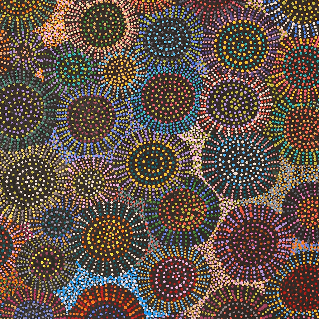 Aboriginal Artwork by Tina Napangardi Martin, Jinti-parnta Jukurrpa, 183x76cm