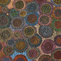 Aboriginal Artwork by Tina Napangardi Martin, Jinti-parnta Jukurrpa, 183x76cm