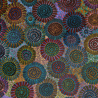 Aboriginal Artwork by Tina Napangardi Martin, Jinti-parnta Jukurrpa, 183x76cm