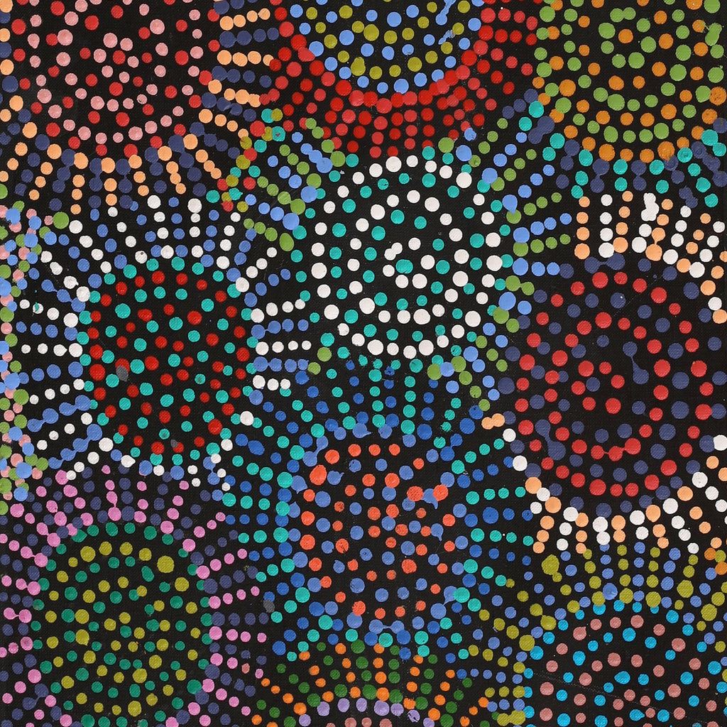 Aboriginal Artwork by Tina Napangardi Martin, Jintiparnta Jukurrpa (Desert Truffle Dreaming) - Mina Mina, 91x30cm