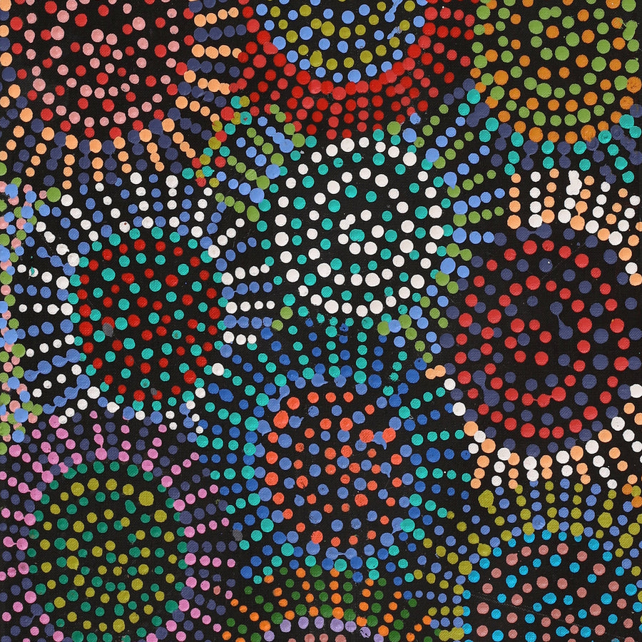 Aboriginal Artwork by Tina Napangardi Martin, Jintiparnta Jukurrpa (Desert Truffle Dreaming) - Mina Mina, 91x30cm