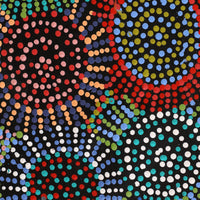 Aboriginal Artwork by Tina Napangardi Martin, Jintiparnta Jukurrpa (Desert Truffle Dreaming) - Mina Mina, 91x30cm