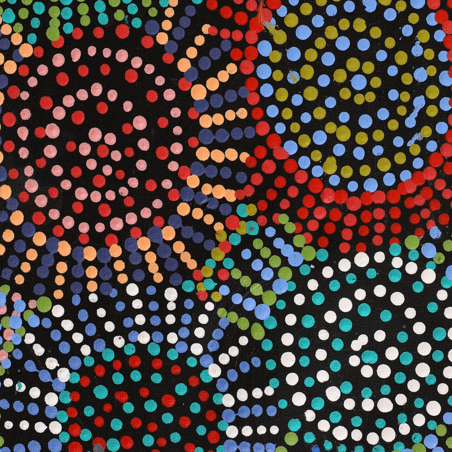 Aboriginal Artwork by Tina Napangardi Martin, Jintiparnta Jukurrpa (Desert Truffle Dreaming) - Mina Mina, 91x30cm