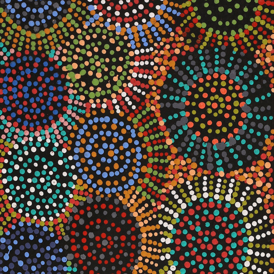 Aboriginal Artwork by Tina Napangardi Martin, Jintiparnta Jukurrpa (Desert Truffle Dreaming) - Mina Mina, 91x30cm