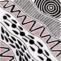 Aboriginal Artwork by Ursula Napangardi Hudson, Pikilyi Jukurrpa (Vaughan Springs Dreaming), 107x30cm