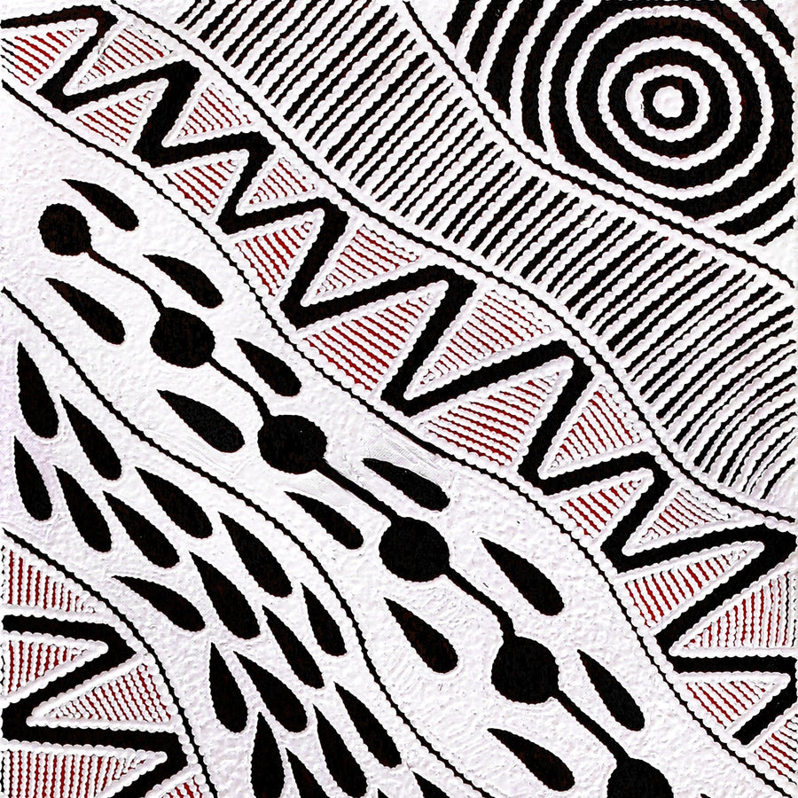 Aboriginal Artwork by Ursula Napangardi Hudson, Pikilyi Jukurrpa (Vaughan Springs Dreaming), 107x30cm