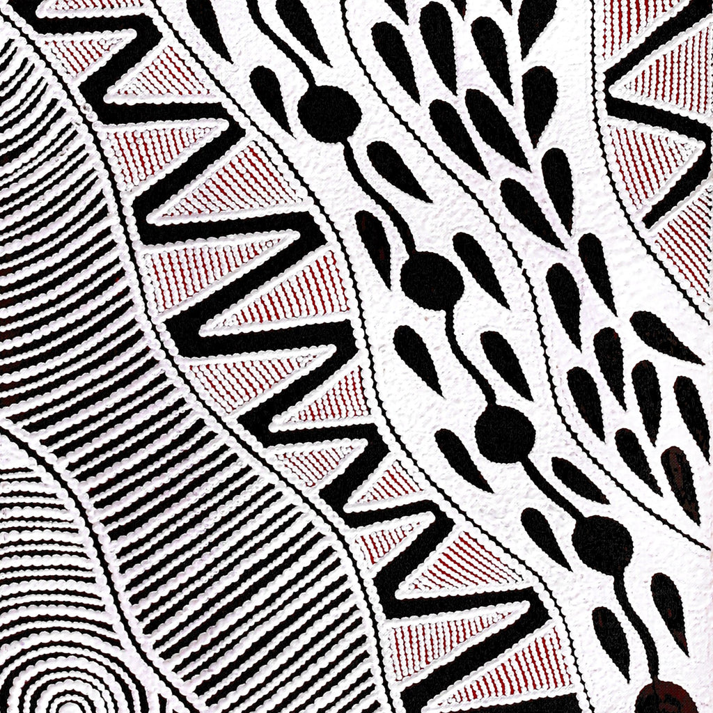 Aboriginal Artwork by Ursula Napangardi Hudson, Pikilyi Jukurrpa (Vaughan Springs Dreaming), 107x30cm