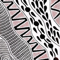 Aboriginal Artwork by Ursula Napangardi Hudson, Pikilyi Jukurrpa (Vaughan Springs Dreaming), 107x30cm
