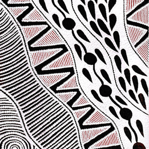 Aboriginal Art by Ursula Napangardi Hudson, Pikilyi Jukurrpa (Vaughan Springs Dreaming), 107x30cm - ART ARK®