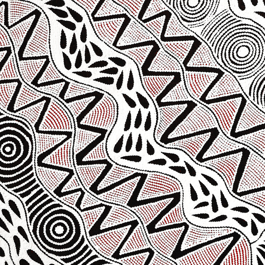 Aboriginal Artwork by Ursula Napangardi Hudson, Pikilyi Jukurrpa (Vaughan Springs Dreaming), 107x91cm