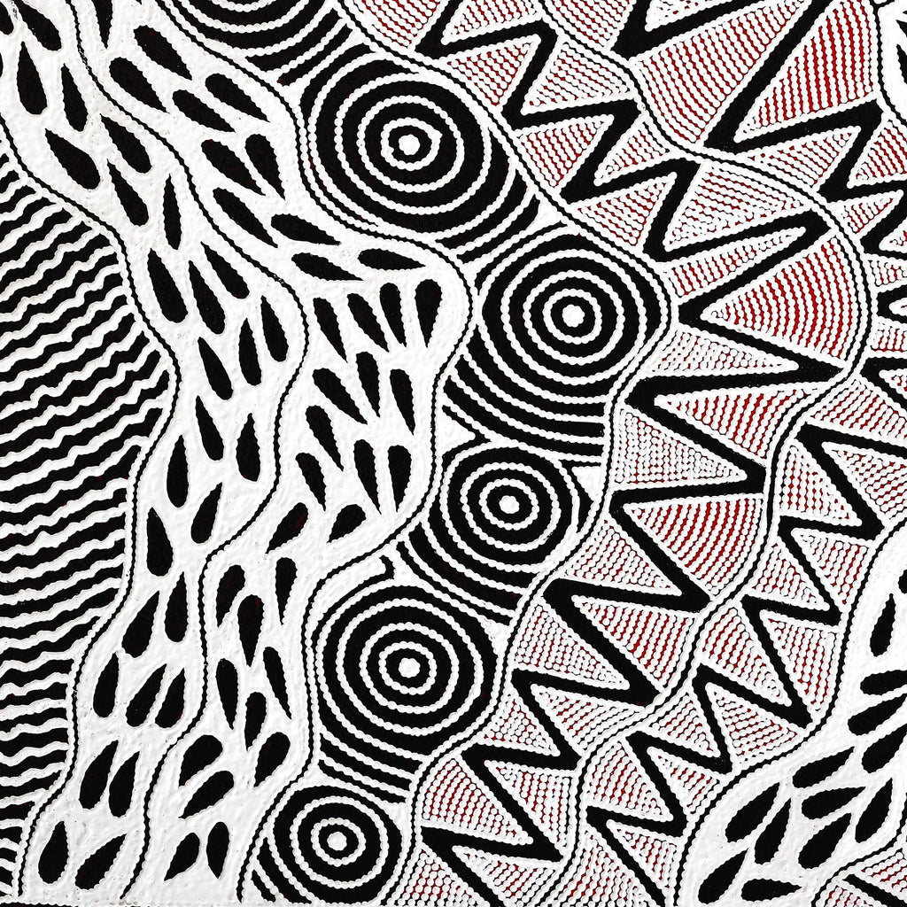 Aboriginal Artwork by Ursula Napangardi Hudson, Pikilyi Jukurrpa (Vaughan Springs Dreaming), 107x91cm