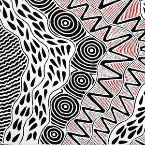 Aboriginal Art by Ursula Napangardi Hudson, Pikilyi Jukurrpa (Vaughan Springs Dreaming), 107x91cm - ART ARK®